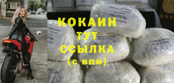 тгк Алзамай