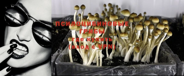тгк Алзамай