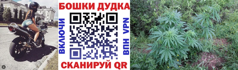 Конопля Bruce Banner  где продают наркотики  кракен ONION  Сим 